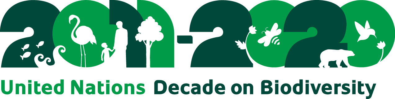 Decade Logo